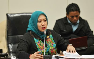 Nihayatul Wafiroh

Pengaduan dan Perlindungan Anak