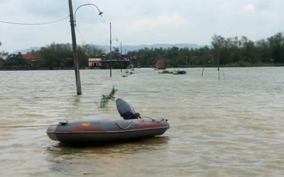 Ribuan Hektare Padi di Pati Terendam Banjir